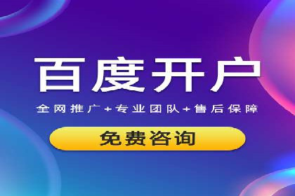 推广竞价策略优化：借鉴经典案例提升效果